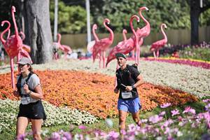 BIB: 
                            <button type="button" onclick="openModal(27793200)" class="btn btn-primary btn-sm float-right btn-popup" data-toggle="modal" data-target=".modal-high-quality">
                        <i class="fas fa-shopping-cart"></i> Add to Cart
                    </button>
                                            <button type="button" onclick="isThisMe(27793200, true)" class="btn btn-success btn-sm float-right btn-popup btn-isme hidden" data-toggle="tooltip" data-placement="bottom" title="นี่คือรูปของคุณใช่ไหม คลิกที่นี่เพื่อเอาเข้าอัลบั้ม">
                        <i class="fas fa-plus"></i> Add to album
                    </button>
                    <button type="button" onclick="isThisMe(27793200, false)" class="btn btn-warning btn-sm float-right btn-popup btn-isnotme hidden">
                        <i class="fas fa-ban"></i> Remove from album
                    </button>